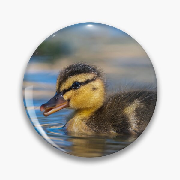 Item preview, Young Duck designed and sold by Greg Birkett.