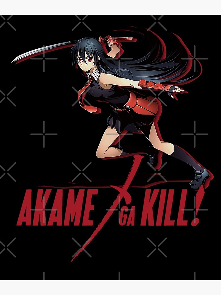 Akame ga Kill #13 Art Print