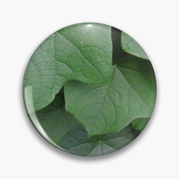 Item preview, Green Vining Ivy Leaf #10 designed and sold by ChillonLeachArt.
