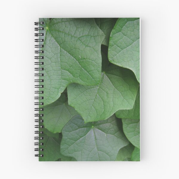Item preview, Green Vining Ivy Leaf #10 designed and sold by ChillonLeachArt.