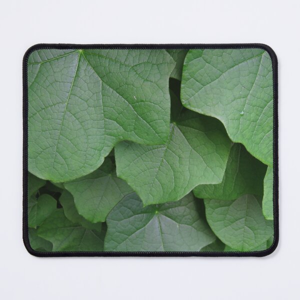 Item preview, Green Vining Ivy Leaf #10 designed and sold by ChillonLeachArt.