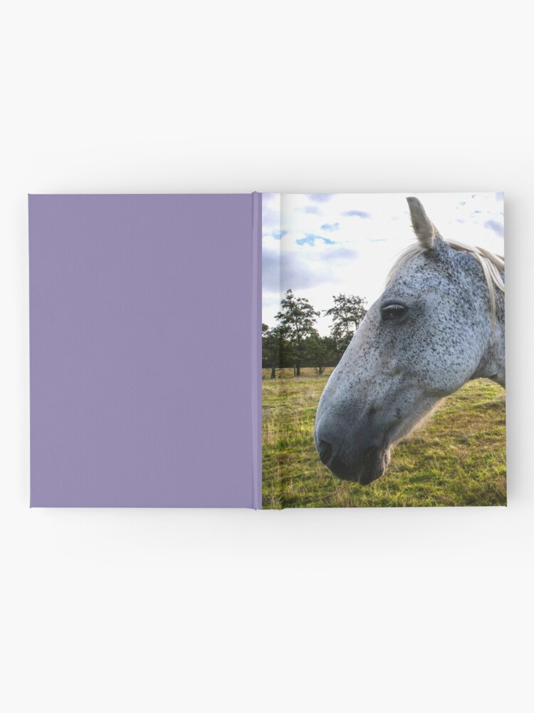 Alternate view of Tom Tom Collection Hardcover Journal
