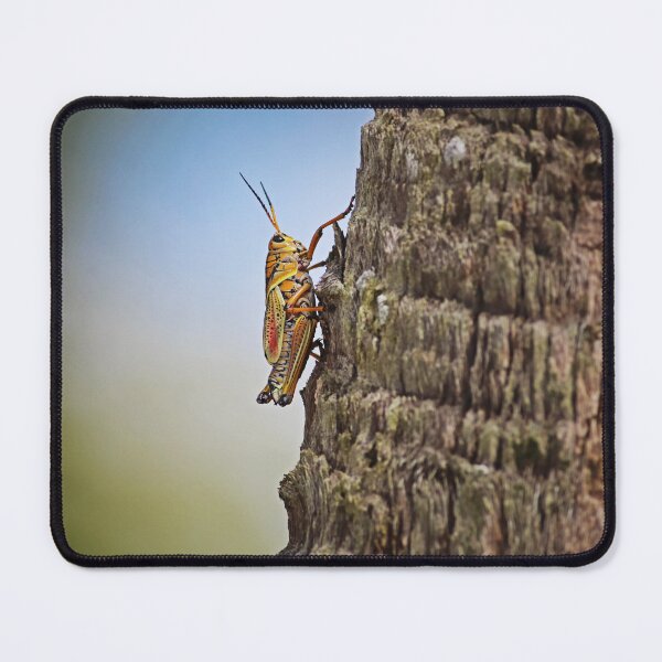 Item preview, A Lubber on the Tree  designed and sold by Michiale.