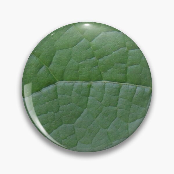Item preview, Green Vining Ivy Leaf #8 designed and sold by ChillonLeachArt.