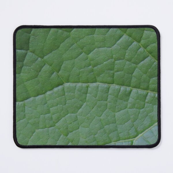 Item preview, Green Vining Ivy Leaf #8 designed and sold by ChillonLeachArt.