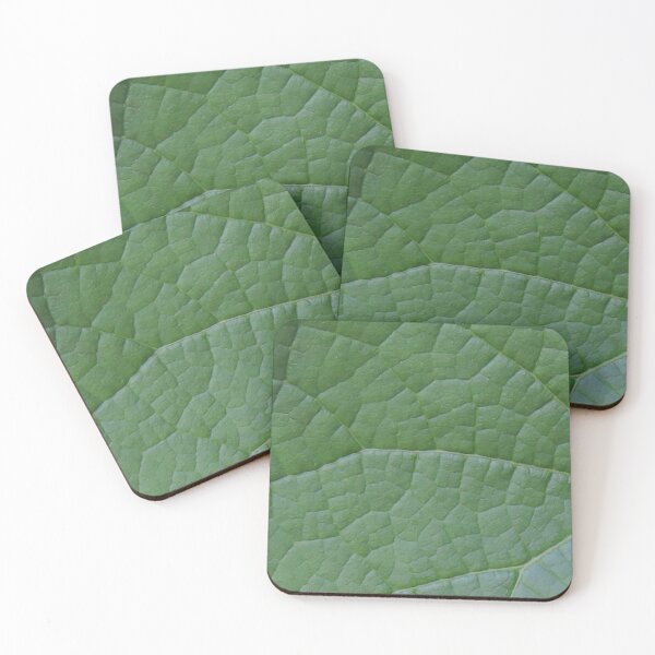 Item preview, Green Vining Ivy Leaf #8 designed and sold by ChillonLeachArt.