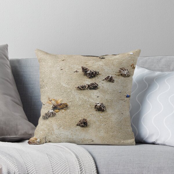 Item preview, Beach flotsam designed and sold by Howard Spencer.