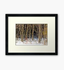 Before the Last Light... Framed Print