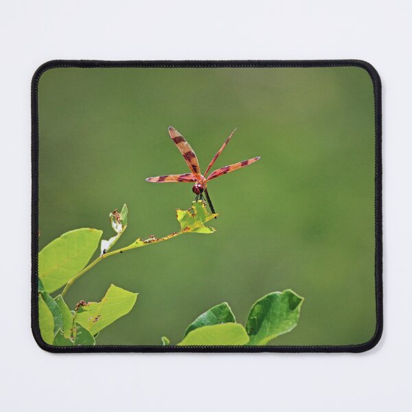 Item preview, Walking a Tightrope II designed and sold by Michiale.