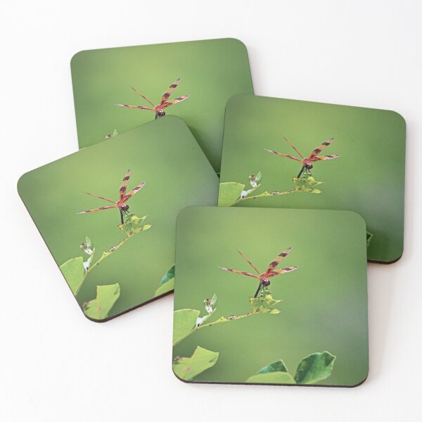 Item preview, Walking a Tightrope I designed and sold by Michiale.