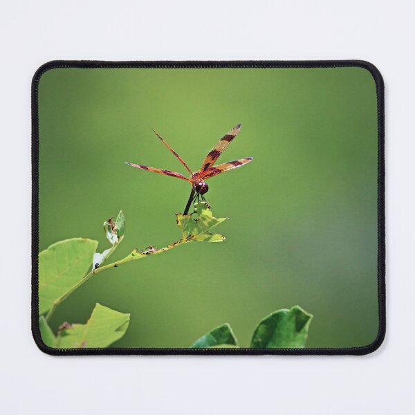 Item preview, Walking a Tightrope I designed and sold by Michiale.