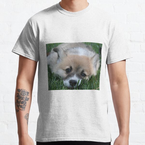 Pembroke Welsh Corgi Puppy Classic T-Shirt