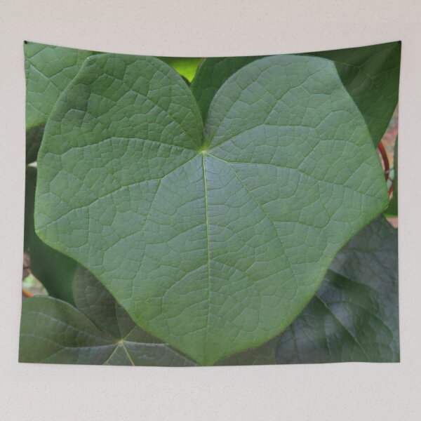Item preview, Green Vining Ivy Heart Leaf #7 designed and sold by ChillonLeachArt.