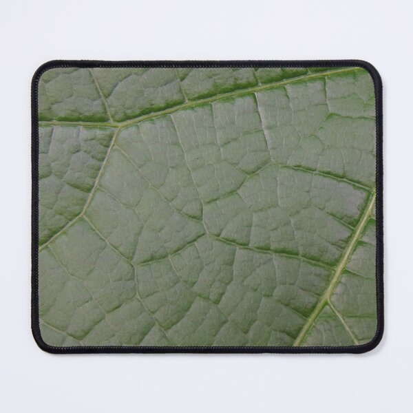 Item preview, Green Vining Ivy Leaf #6 designed and sold by ChillonLeachArt.