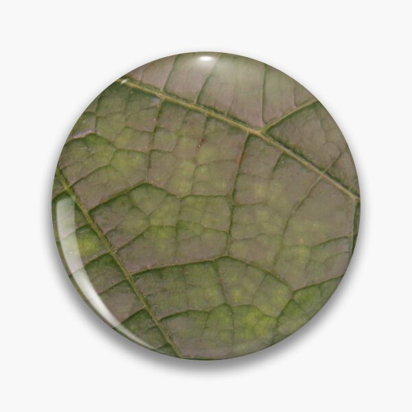 Item preview, Green Vining Ivy Leaf #4 designed and sold by ChillonLeachArt.