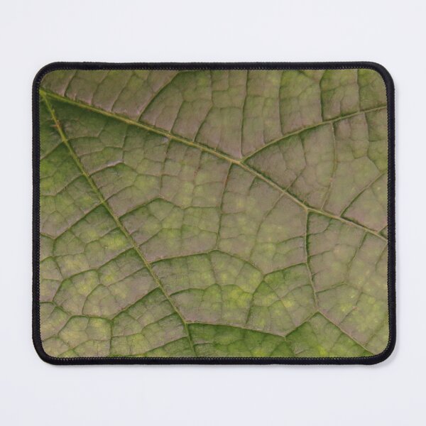 Item preview, Green Vining Ivy Leaf #4 designed and sold by ChillonLeachArt.