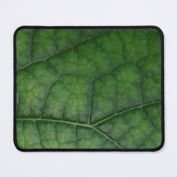 Item preview, Green Vining Ivy Leaf #5 designed and sold by ChillonLeachArt.