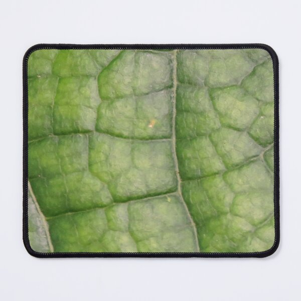 Item preview, Green Vining Ivy Leaf #2 designed and sold by ChillonLeachArt.