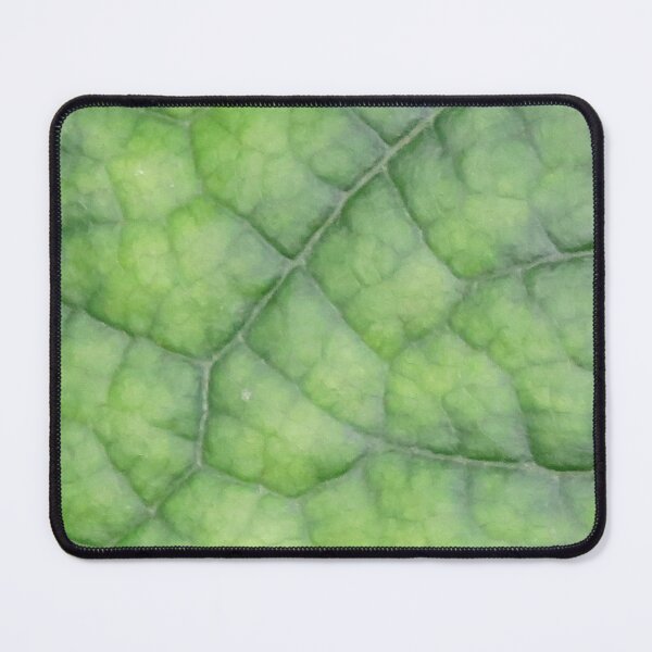 Item preview, Green Vining Ivy Leaf closeup #1 designed and sold by ChillonLeachArt.