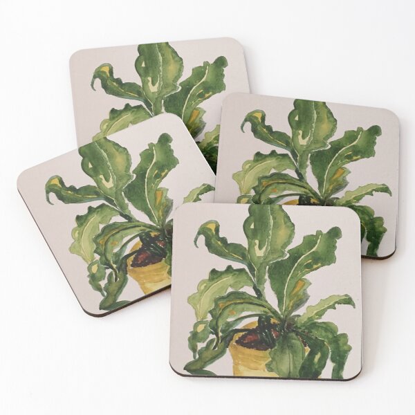 Item preview, House plant by Tola designed and sold by Tola Eley.