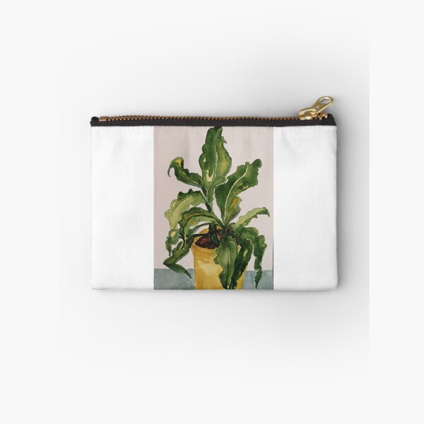 Item preview, House plant by Tola designed and sold by Tola Eley.
