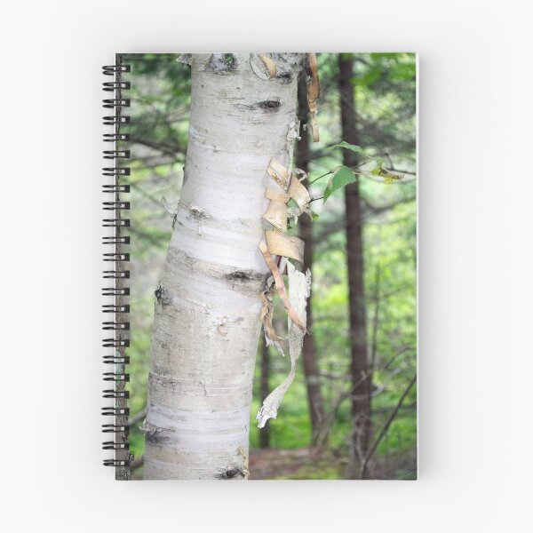 Item preview, Peeling designed and sold by Martha Medford.