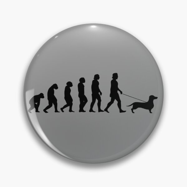 Item preview, Evolution Dachshund Dog designed and sold by Daschunddesigns.