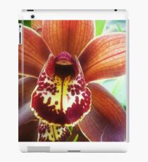 Orchid from the Plaza Florist iPad Case/Skin