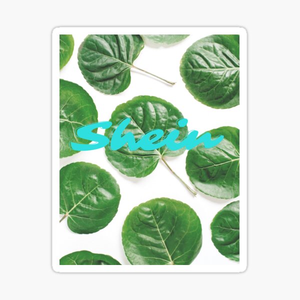 "Shein" Sticker for Sale by Nicoladenisa71 Redbubble