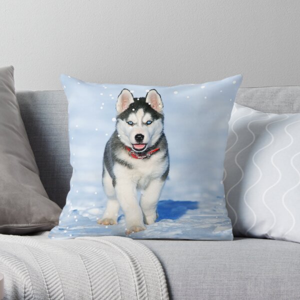 Husky Throw Pillow