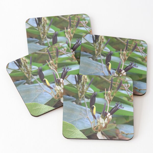 Item preview, Black coral pea  designed and sold by greentiger1.