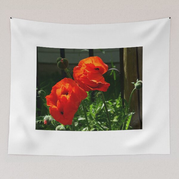Item preview, Poppy Siblings designed and sold by Vivar Photo.