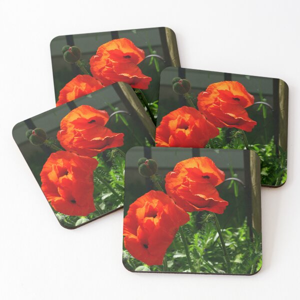Item preview, Poppy Siblings designed and sold by Vivar Photo.