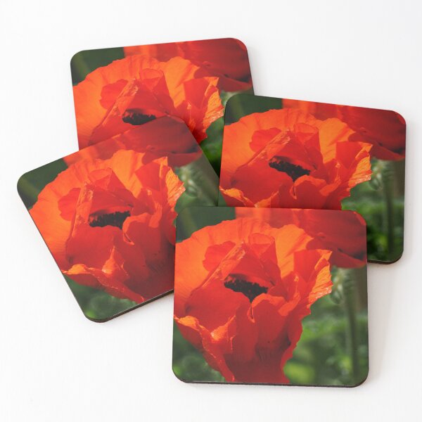 Item preview, Poppy in Red designed and sold by Vivar Photo.