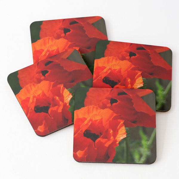Item preview, Poppies in Vibrant Red designed and sold by Vivar Photo.