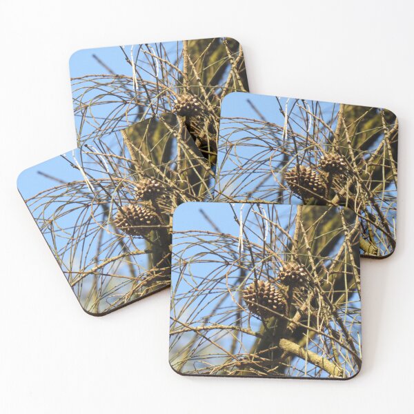 Item preview, She-oak cones designed and sold by greentiger1.