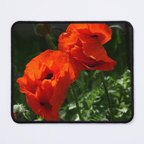 Item preview, Poppy Pals in Red designed and sold by Vivar Photo.