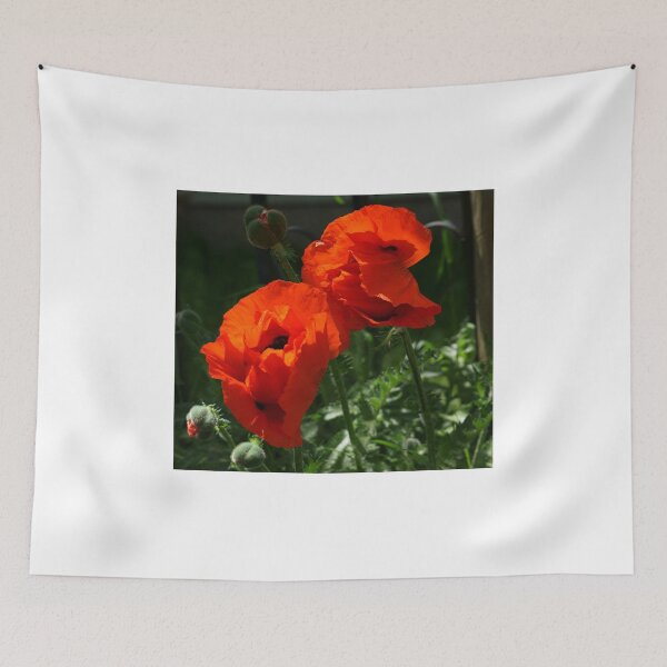 Item preview, Poppy Pals in Red designed and sold by Vivar Photo.
