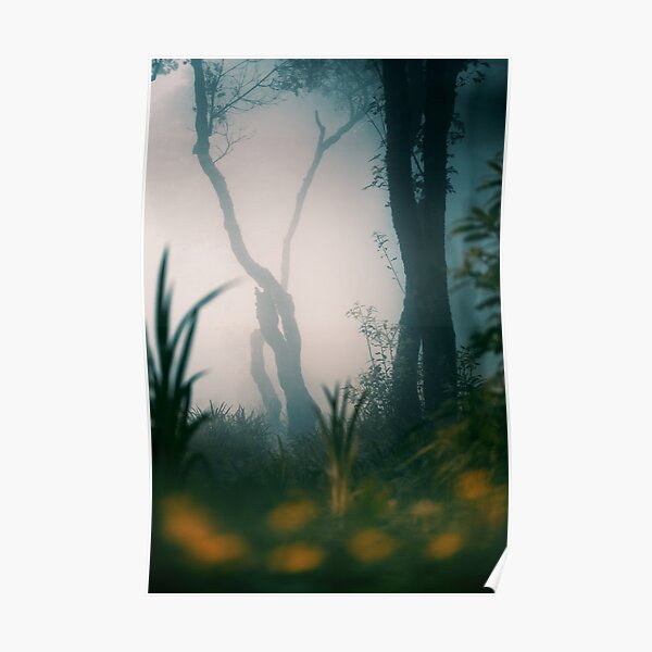 Misty Woods Poster