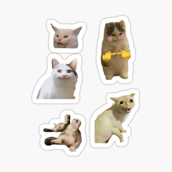 Cat Meme Pack 2 Sticker For Sale By Skortstickers Redbubble 4428