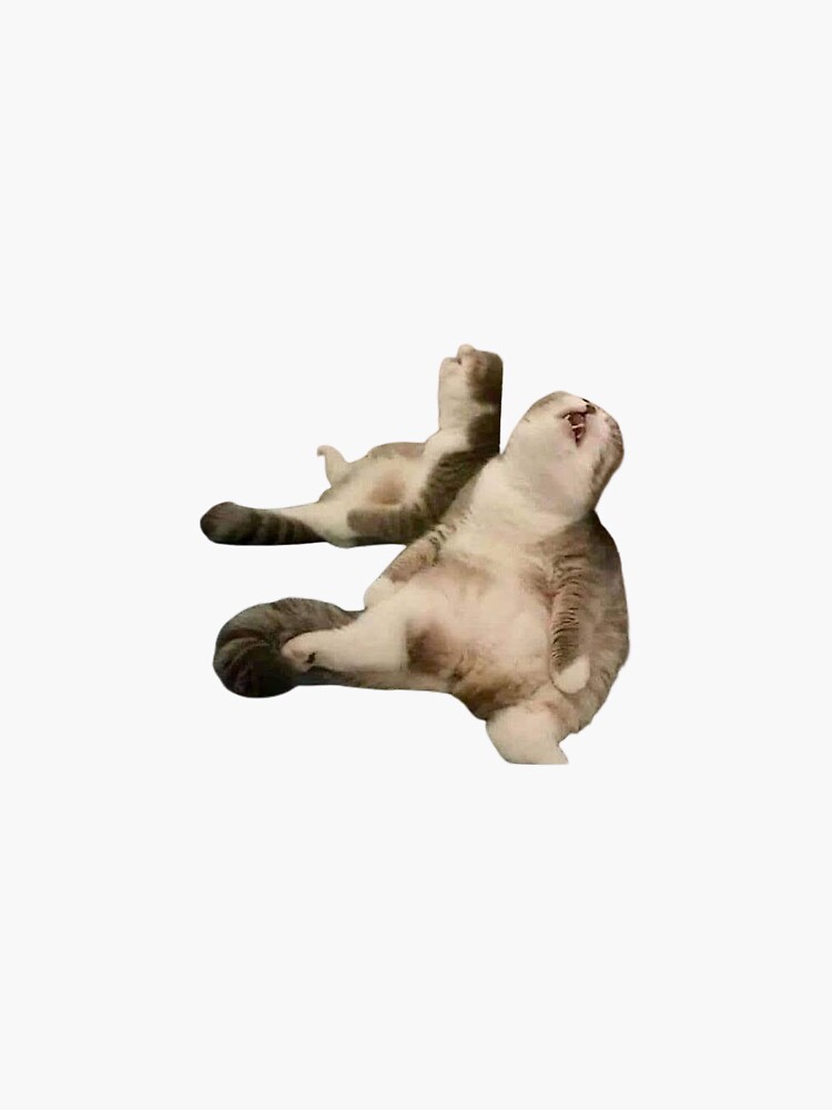 Lazy Sleepy Cat Meme Sticker Sticker For Sale By Skortstickers Redbubble 5992