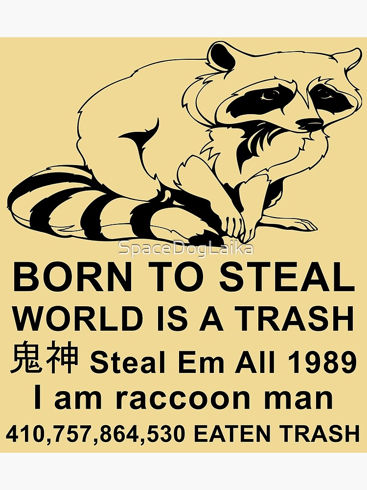 "Born To Steal World Is A Trash Raccoon Meme" Poster for Sale by