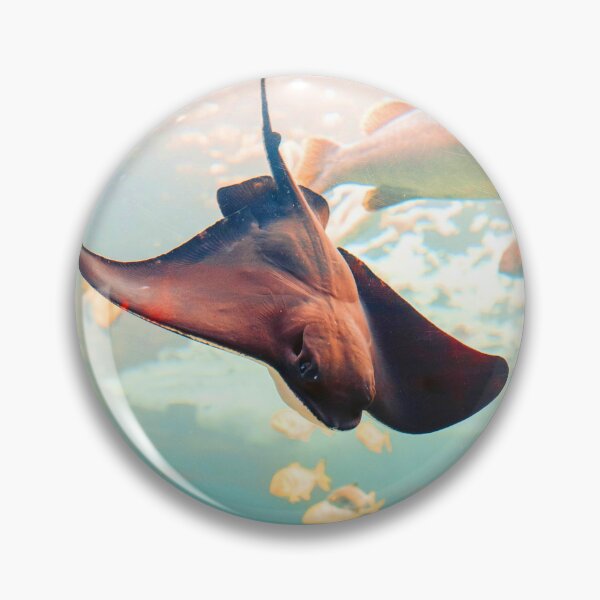 Item preview, ANIMALES #82 - Raya buceando entre peces designed and sold by DEL-Productions.