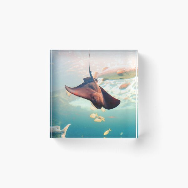 Item preview, ANIMALES #82 - Raya buceando entre peces designed and sold by DEL-Productions.