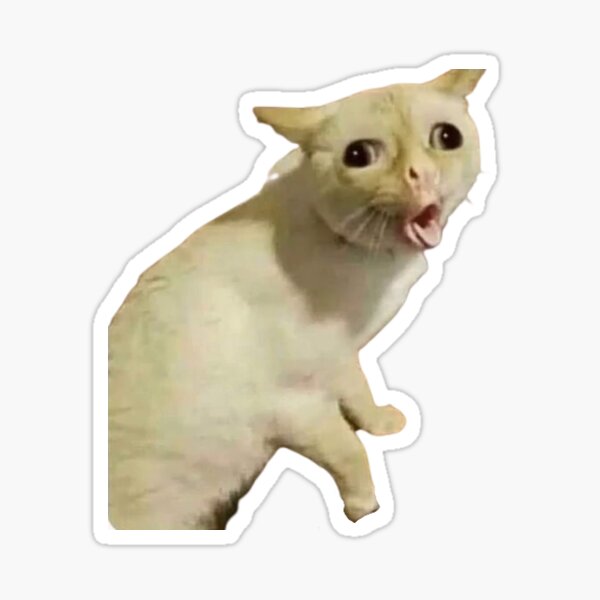 Coughing Cat Meme Sticker Sticker For Sale By Skortstickers Redbubble