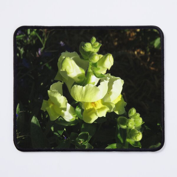 Item preview, Yellow snapdragons designed and sold by greentiger1.