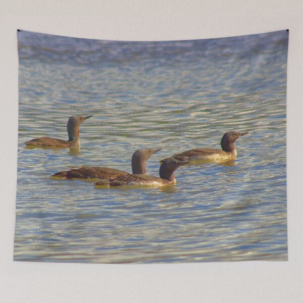 Item preview, Evening swim designed and sold by Vidarleikur.