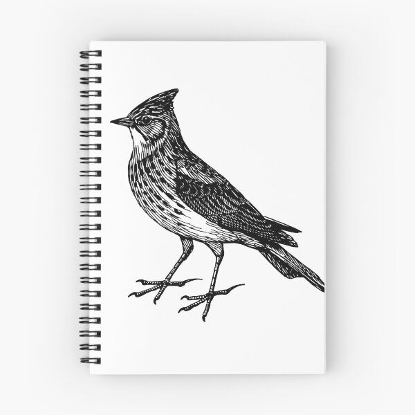 Item preview, Skylark Bird Drawing designed and sold by LeoLabs.