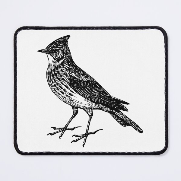 Item preview, Skylark Bird Drawing designed and sold by LeoLabs.