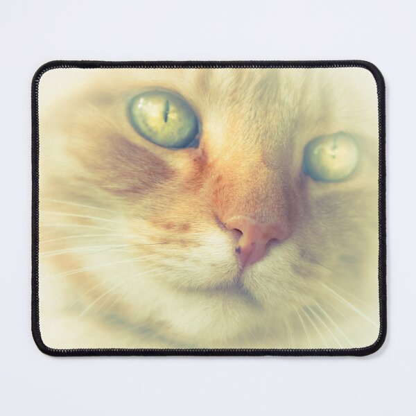 Item preview, 9 lives... designed and sold by bostonrache.